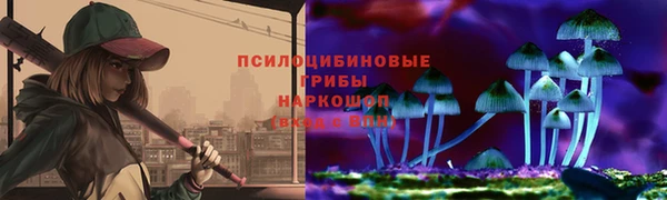 СК Няндома