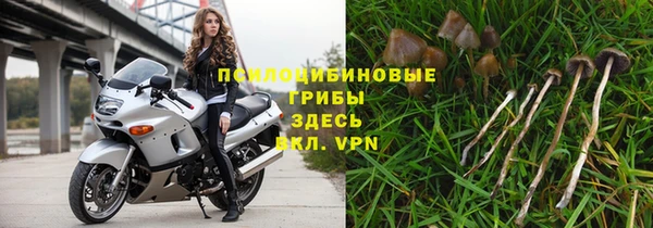 стаф Нязепетровск