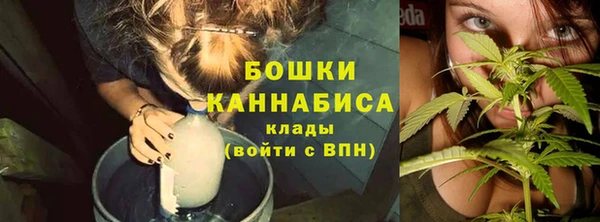 СК Няндома